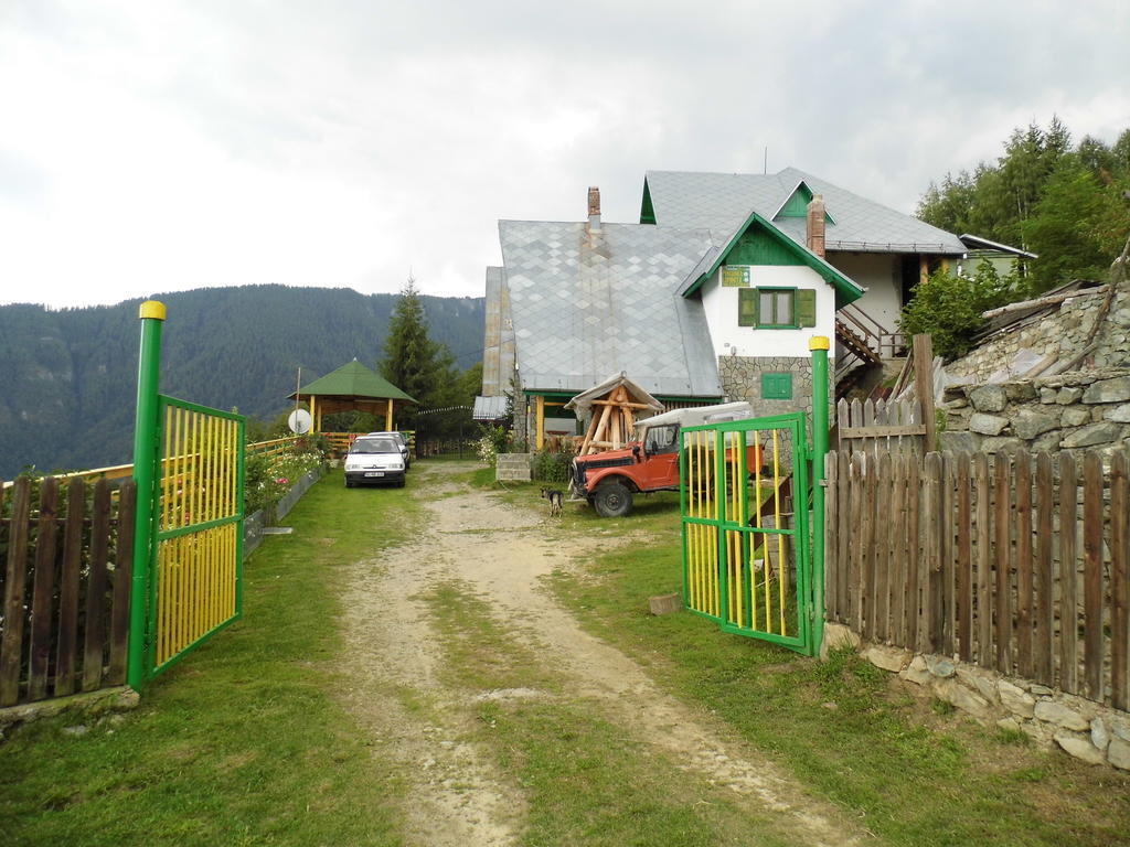 Pensiunea Luminita Ciungetu Zewnętrze zdjęcie